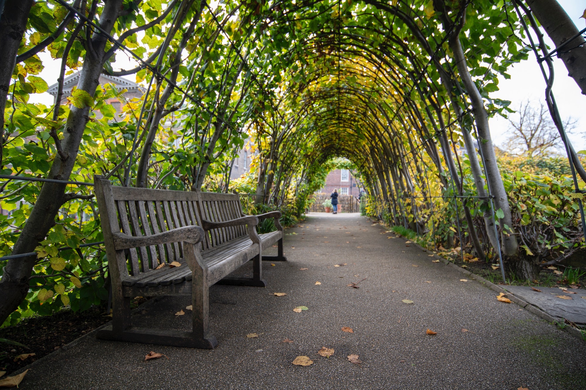 park in kensington with arch covered in plants